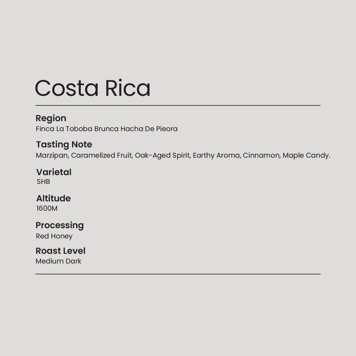 [Drip Bag] Costa Rica | Marzipan, Oak-Aged Spirit, Earthy Aroma, Cinnamon, Maple Candy.