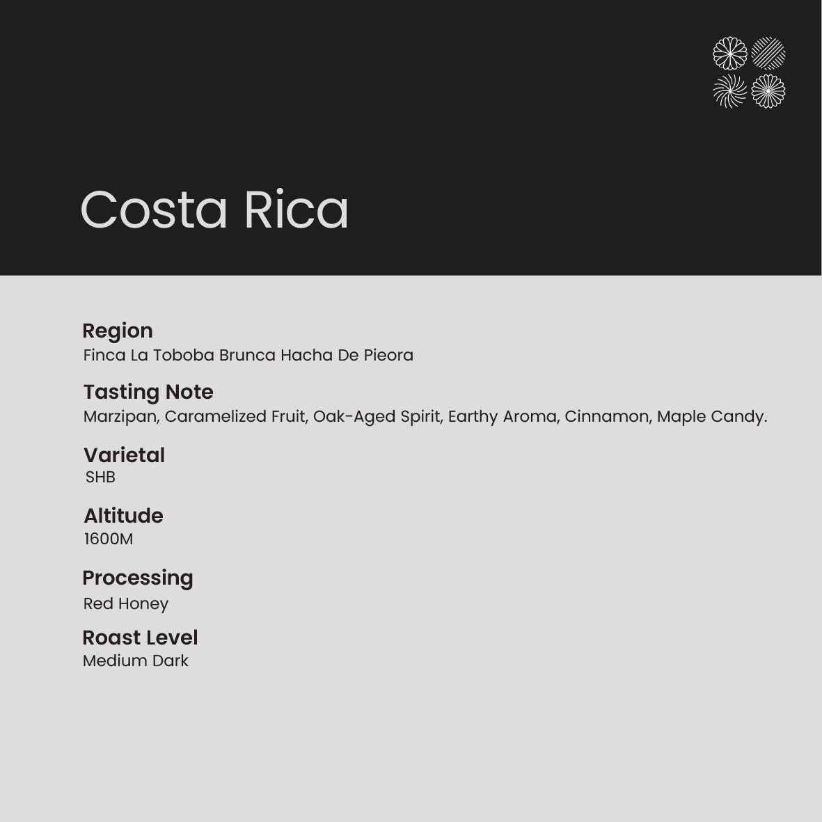[Steep Bag] Costa Rica | Marzipan, Oak-Aged Spirit, Earthy Aroma, Cinnamon, Maple Candy.