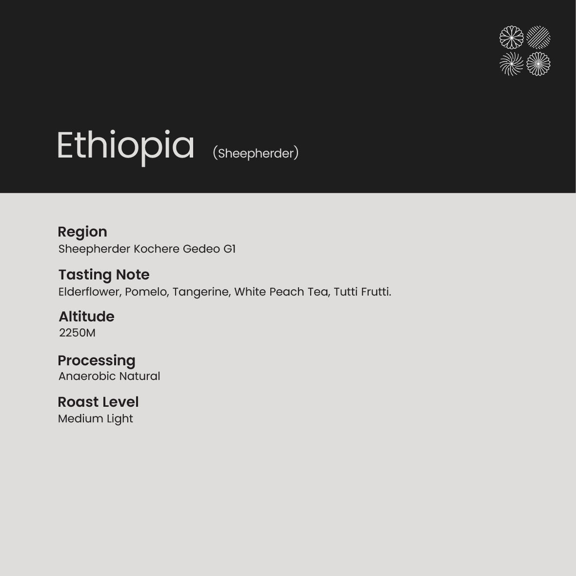 [Drip Bag] Ethiopia (Sheepherder) | Elderflower, Pomelo, Tangerine, White Peach Tea, Tutti Frutti.